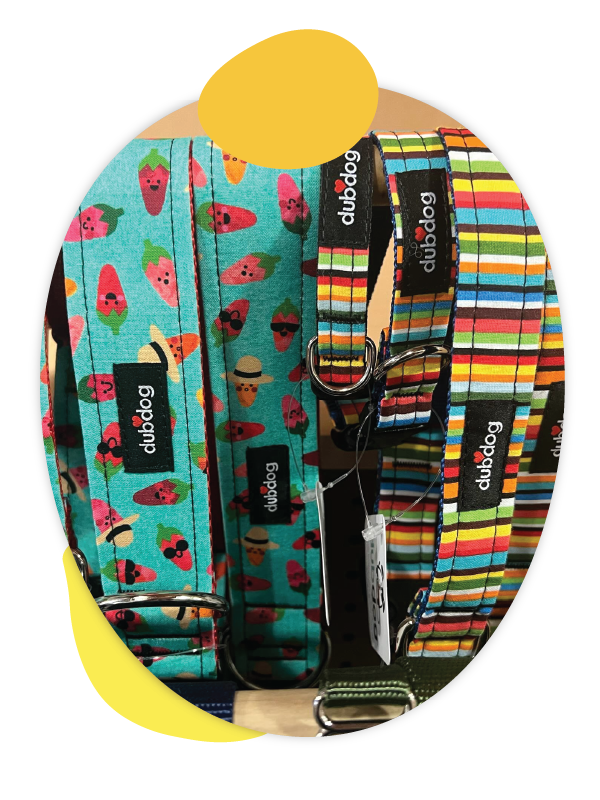 Dog Collars