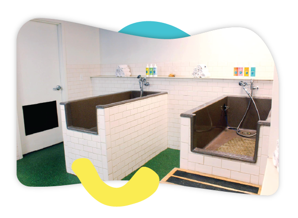 Grooming area at our store