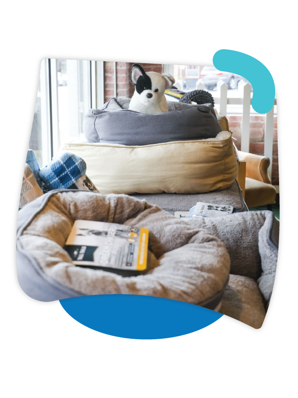 An assortment of pet beds